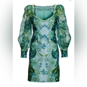 Brand New Organza Puff Sleeve Shift Dress